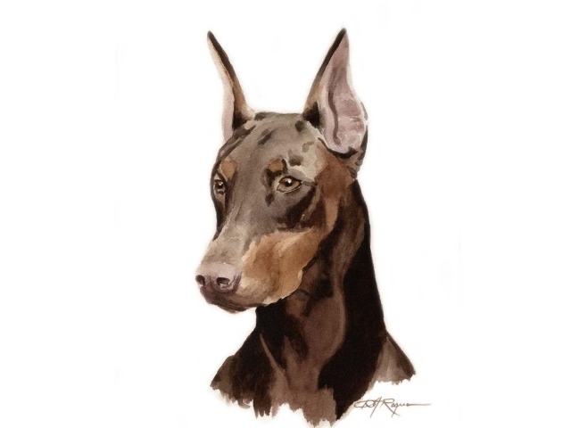Картина добермана