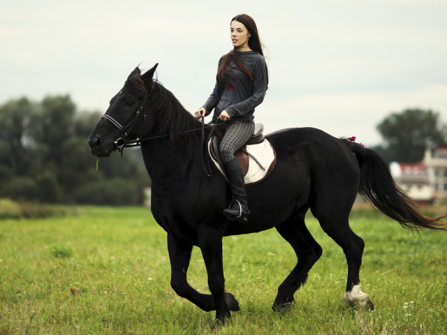 Лошадь со всадником