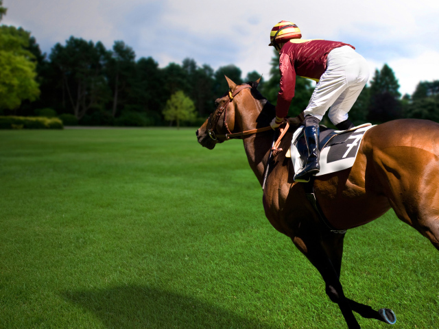 Езда на лошади