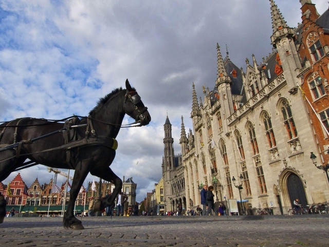 Лошадь на площади