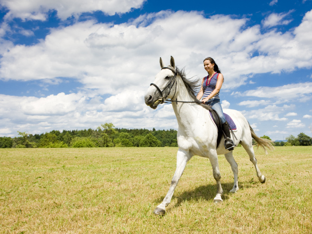 Катание на лошадях