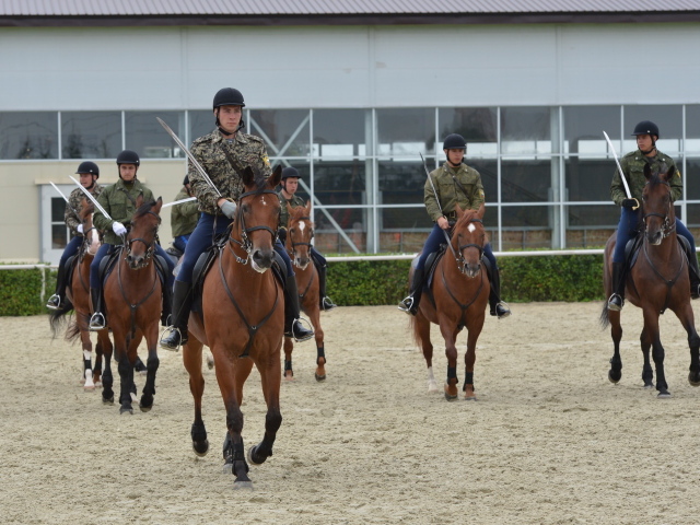 Верховая езда на лошади