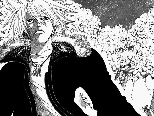 Рэйв Мастер