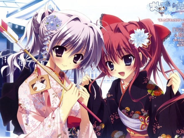 Буйство цветов