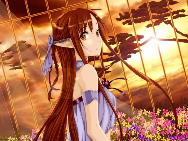 Молчаливая Морита