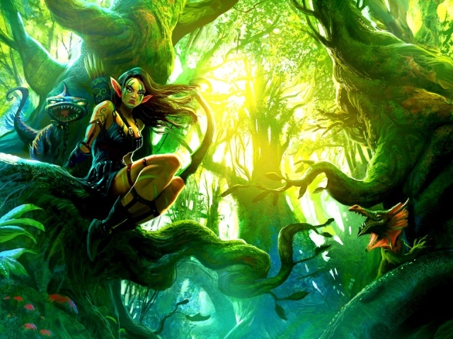 Страна Эльфов