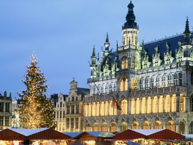 Рождественская елка в Брюсселе
