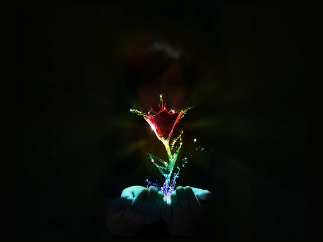 Водяной цветок в руках