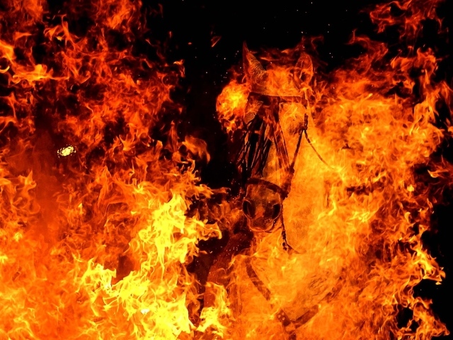 Год огненной лошади