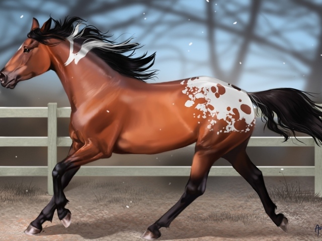 Мустанг лошадь