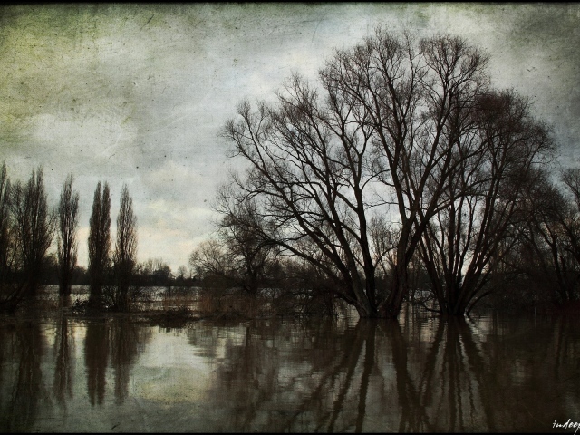 Картина Весенний разлив реки