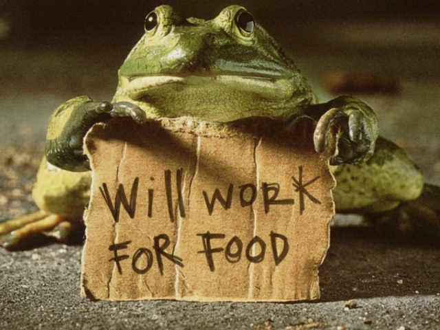 Лягушка с табличкой