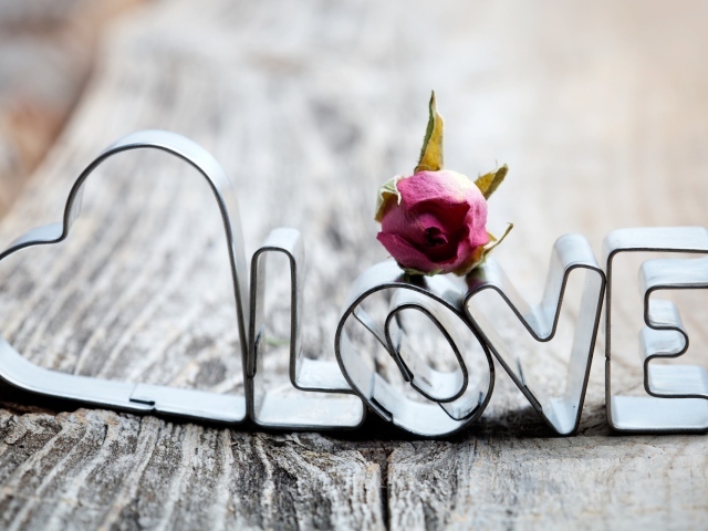 Цветок и любовь