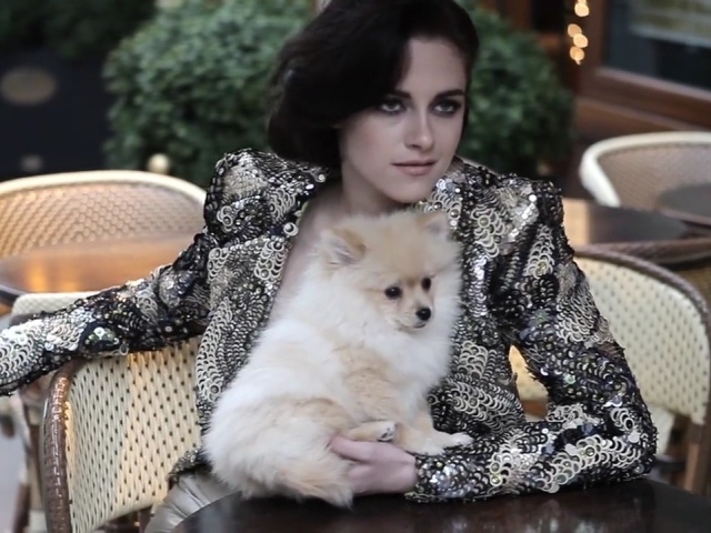 Актриса Кристен с собакой