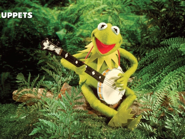 Лягушка с банджо