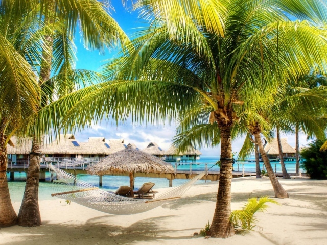 Пальмы и лежак на пляже