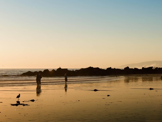 Прогулки по пляжу