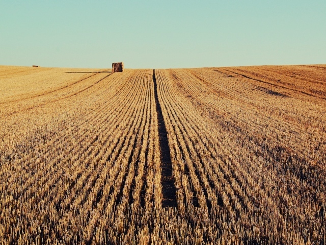 Осень скошенное поле
