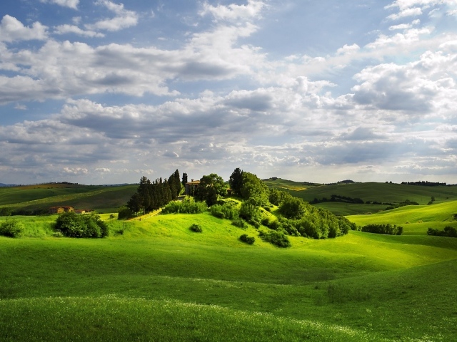 Изумрудно зеленые  холмы