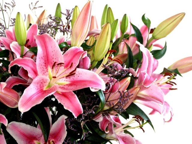 Букет лилий