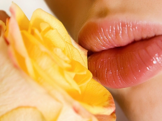 Поцелуй желтой розы