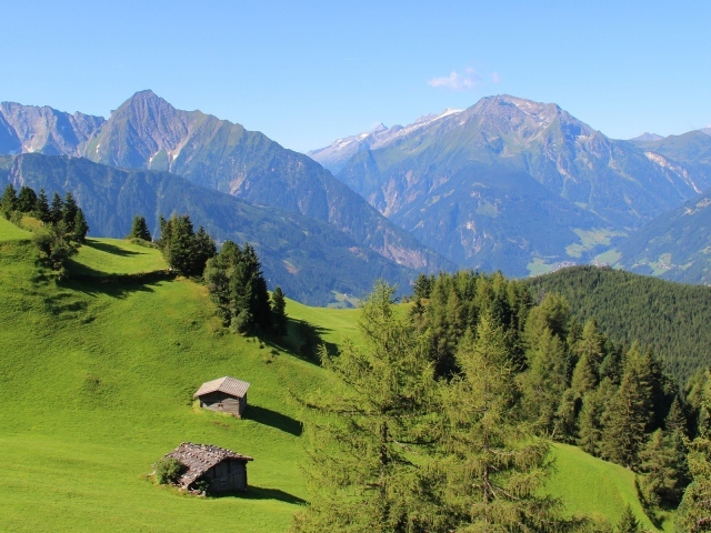 Альпийские луга и голубая даль