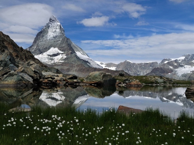 Горный пейзаж с озером и белые цветы