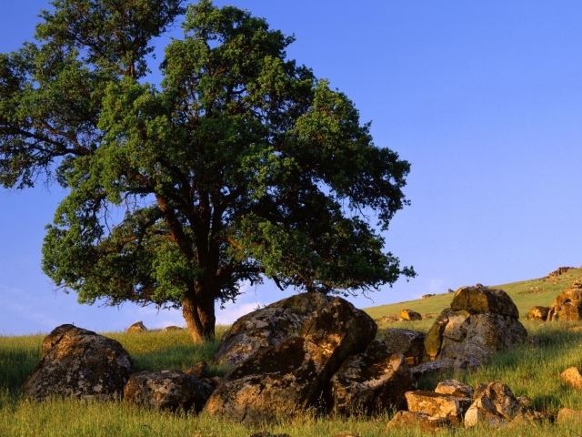 Природа штата Невада