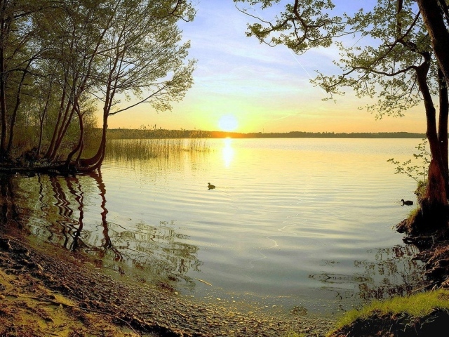 Закат на лесном озере