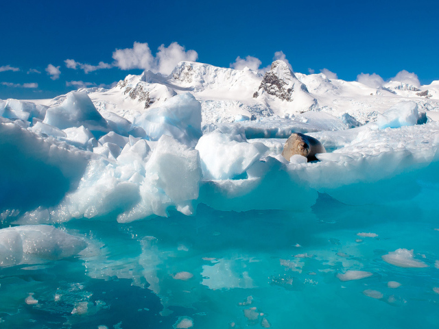 Вода и льды Антарктиды