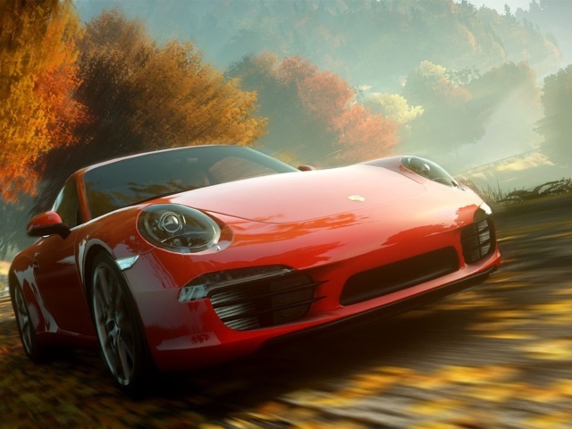 Porsche ускоряется в осеннем лесу