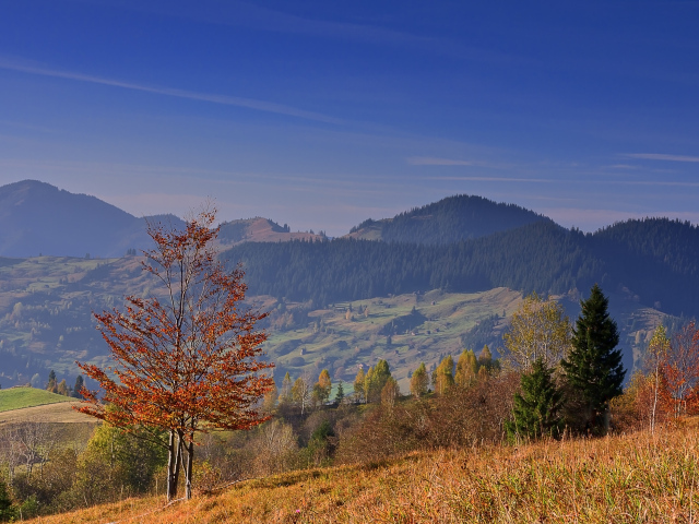 Осенью в Румынии