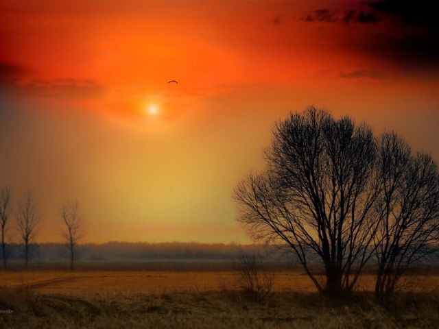 Красочный закат над полем