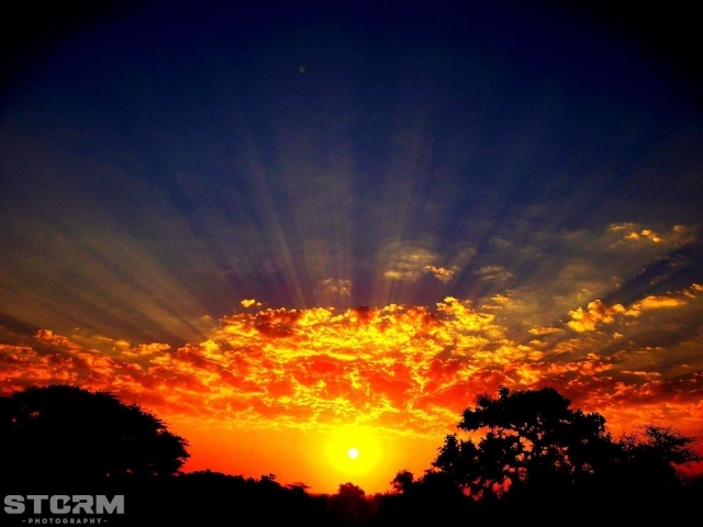 Лучи солнца