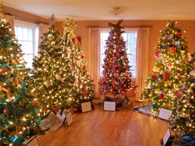 Много новогодних елок