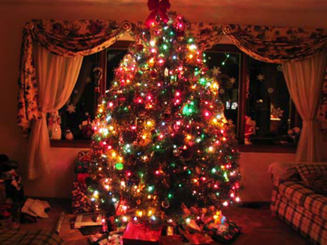 Огромная Новогодняя елка