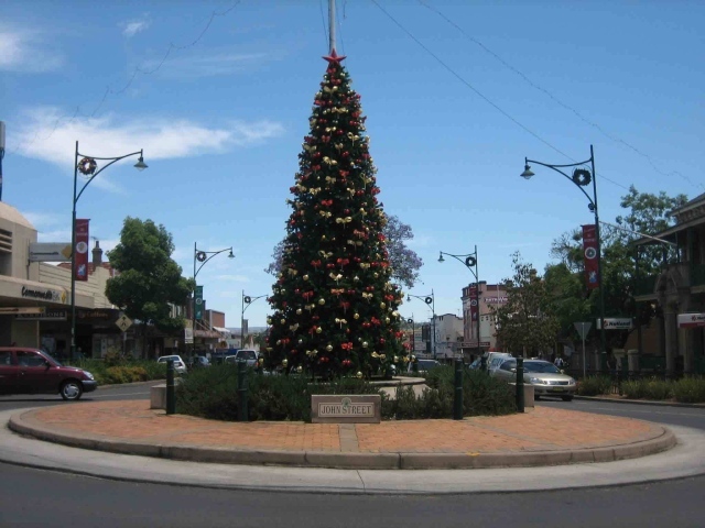 Новогодняя елка в Америке