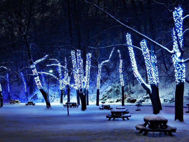 Новогодняя елка в зимнем парке