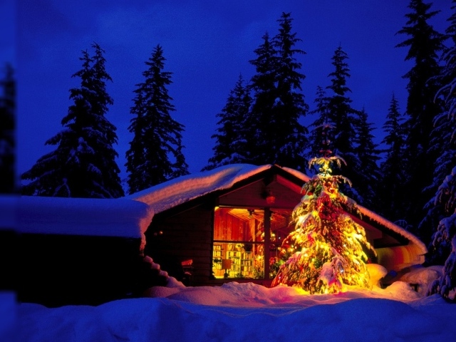 Новогодняя елка возле лесной хижины