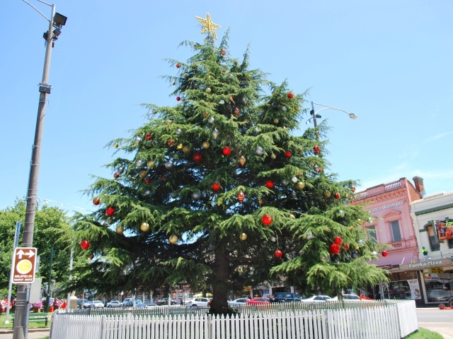 Красивая Новогодняя елка в жаркой стране