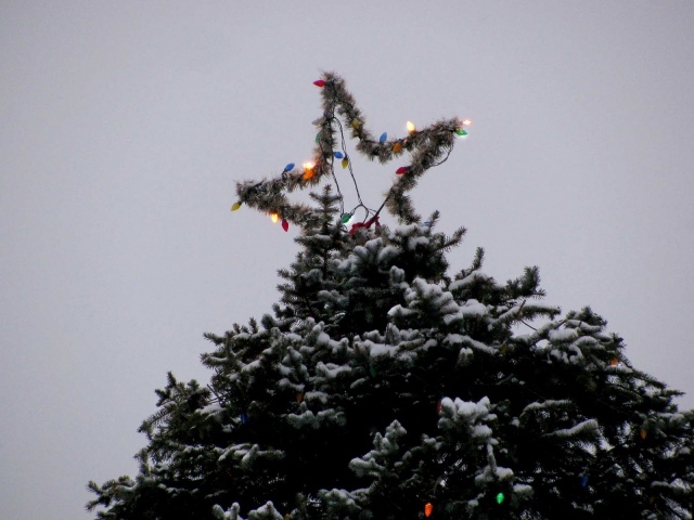 Звезда новогодней елки