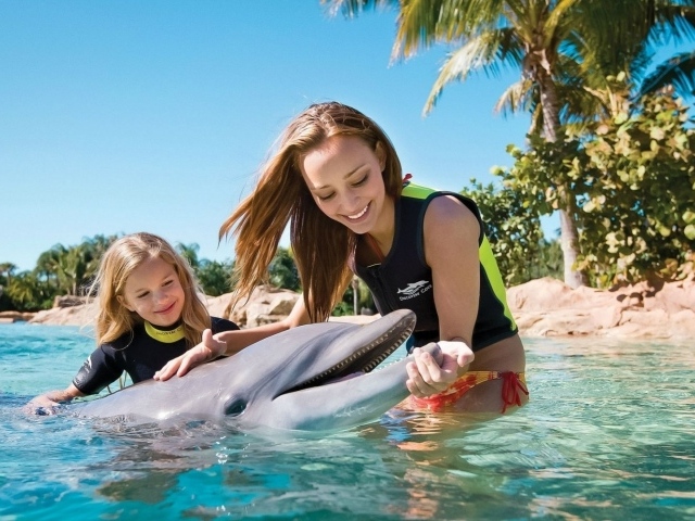 Игра с дельфином