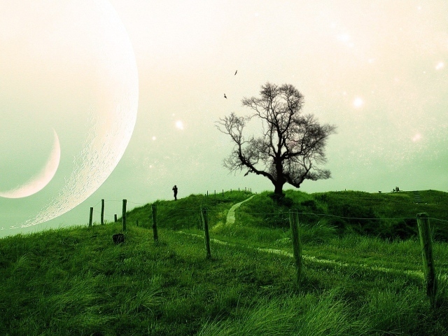 Композиция на тему природа