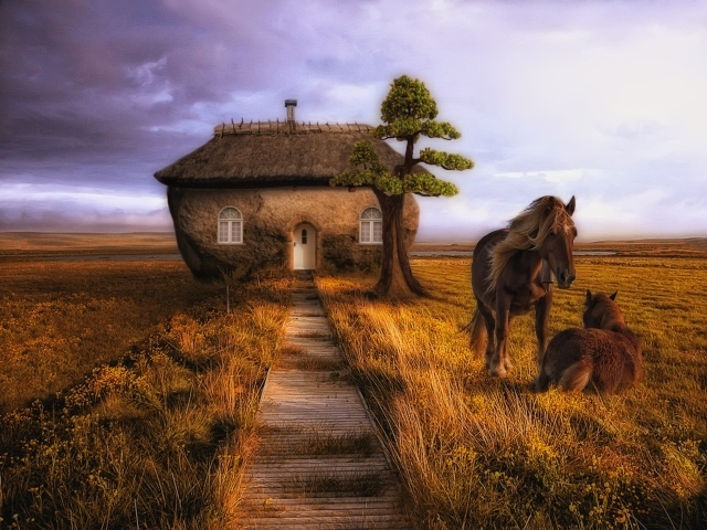 Дом лошадей
