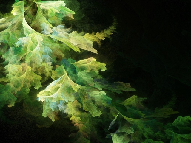 Абстрактные листья салата