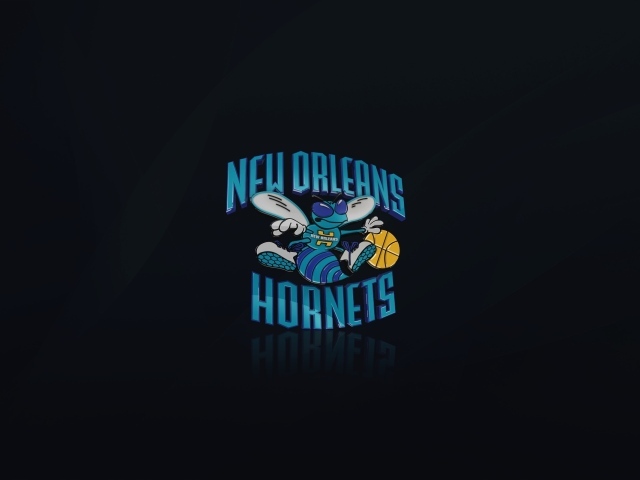Баскетбольный клуб Нового Орлеана