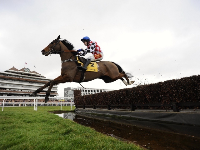 Лошадиные скачки