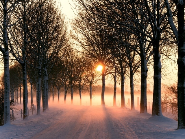 Зимняя дорога на закате дня