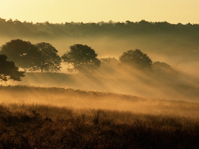 Национальный парк Нидерланды