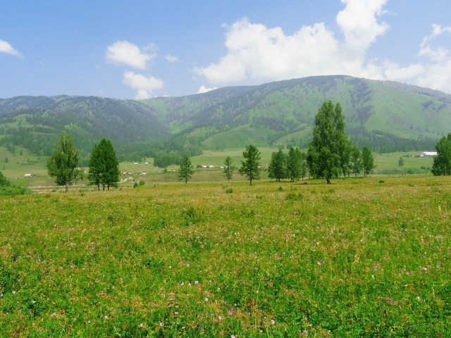 Российский пейзаж с холмами